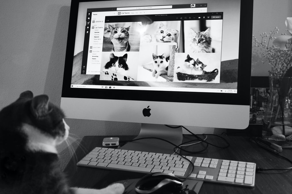 Online Marketing: Alles schaut auf(s) Display